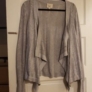Shimmery Silver Cardigan